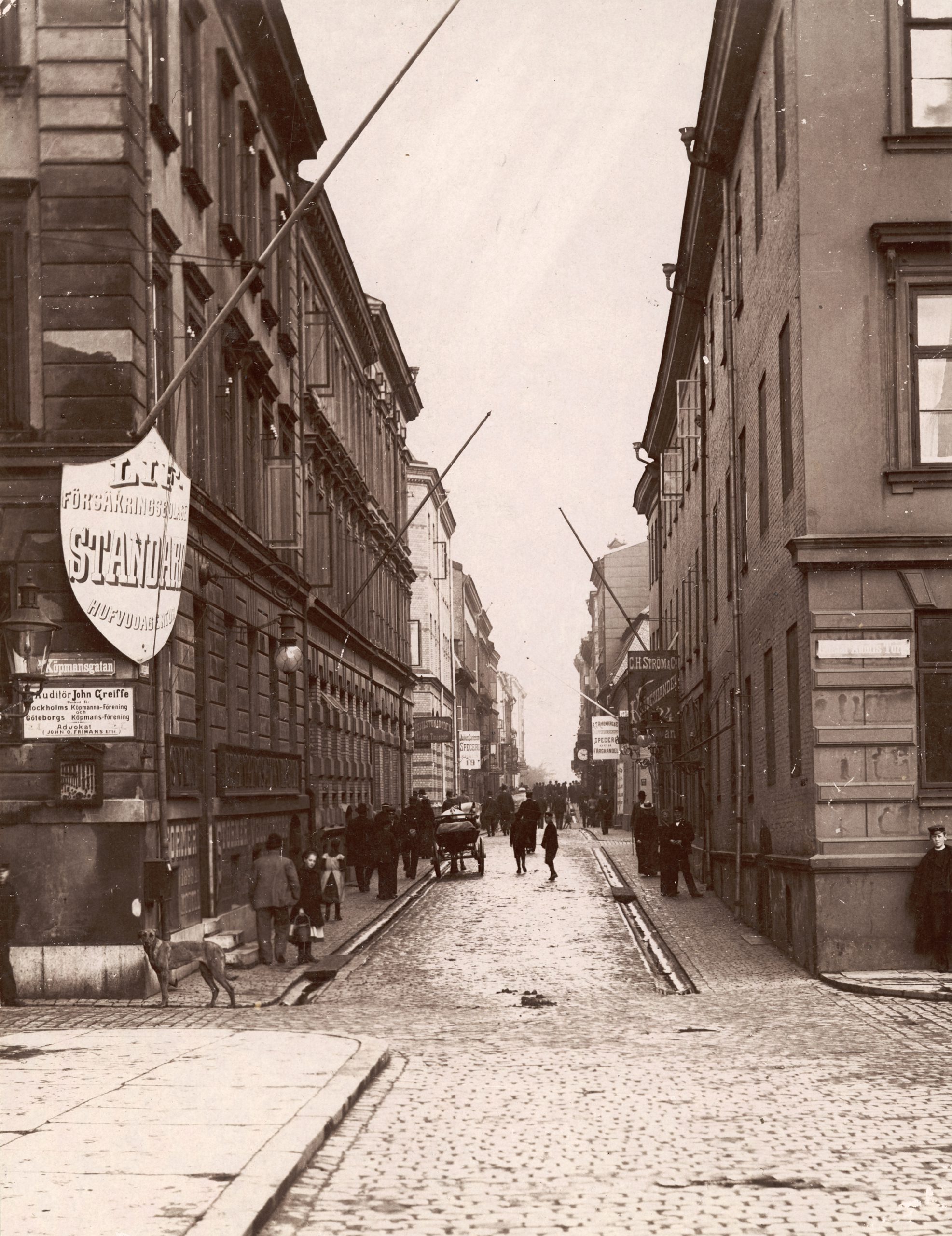 Folk i rörelse utmed Torggatan år 1901.